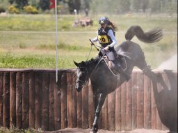 Chevaux